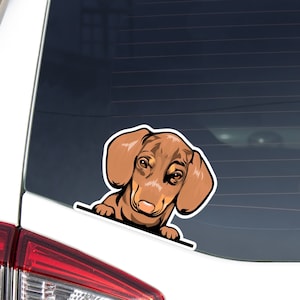 Peeking Dachshund Car Decal Sticker / Brown Red Dachshund Dog Vinyl Waterptroof / Bumper Window Laptop Bottle Outdoor Removable Decal