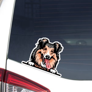 Realistic Shetland Sheepdog Car Decal Sticker / Peeking Sheltie Dog Paws Up Vinyl Waterproof Removable Outdoor  /Bumper Window Bottle Laptop