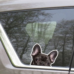 May include: A black and white sticker of a French Bulldog peeking out from behind a car window. The dog has large, upright ears and a curious expression. The background shows a blurred view of trees.