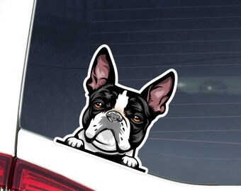 French Bulldog Car Decal: Peeking Black White Frenchie, Waterproof Sticker