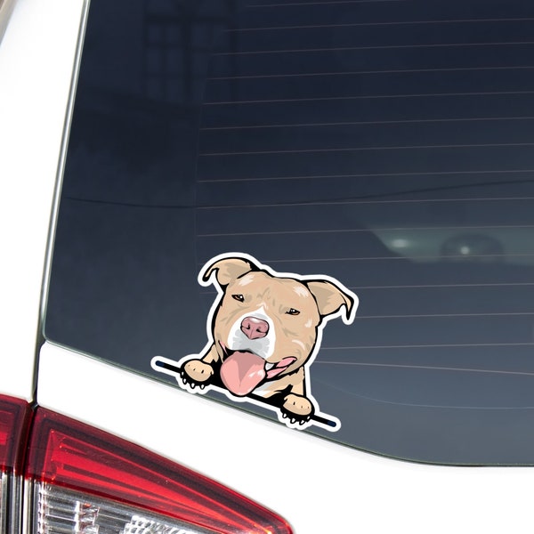 Fawn Pitbull Car Decal Sticker / Peeking Light Yellowish Pittie Dog Vinyl Car Bumper Window  / Waterproof Removable Outdoor Decal