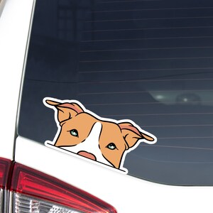 Orange Pitbull Car Decal Sticker / Peeking Pittie / Custom Dog Color / Vinyl Waterproof Removable Outdoor / Bumper Window Laptop Bottle