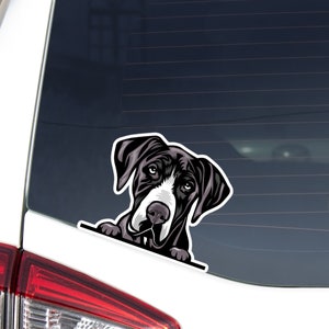 Realistic Great Dane Car Decal Sticker / Peeking Black&White Great Dane Dog Vinyl Waterproof Removable Outdoor / Bumper Window Bottle Laptop