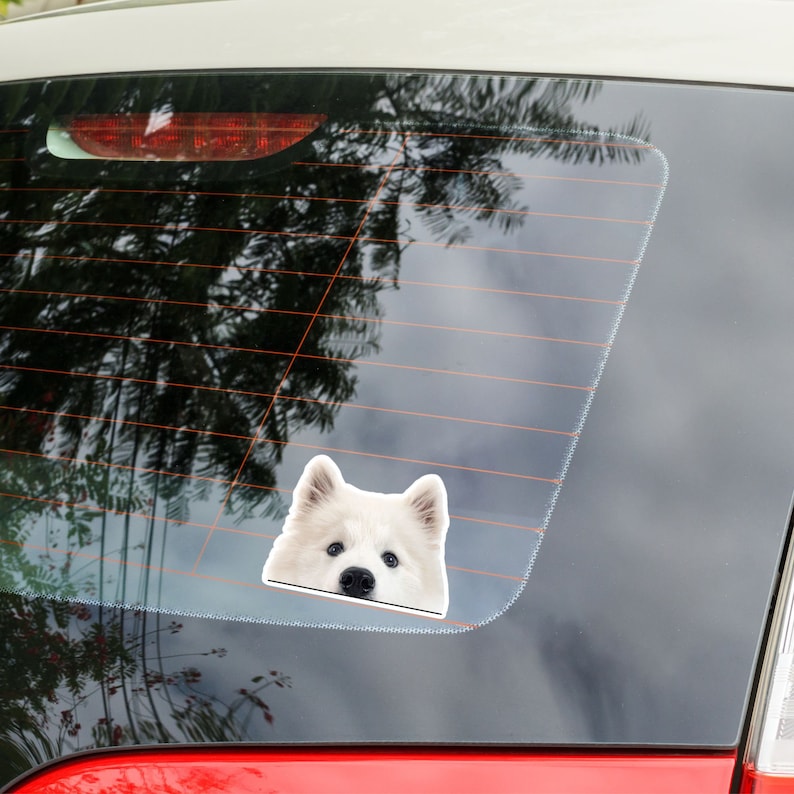 Realistic Samoyed Dog Car Decal Sticker: Peeking Vinyl Window Decal ...