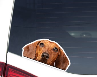 Peeking Dachshund Car Decal Sticker / Realistic Red Dachshund Dog / Vinyl Waterptroof Removable Outdoor / Bumper Window Laptop Bottle