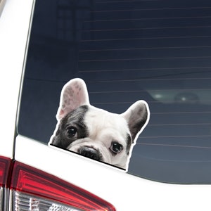Realistic French Bulldog Face Car Decal / Peeking Black Patch Frenchie Dog Sticker / Bumper Window Laptop Vinyl Waterproof Removable Decal