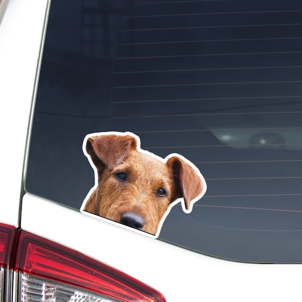 Red Irish Terrier Car Decal / Peeking Realistic Irish Terrier Dog Head / Vinyl Waterproof Removable Outdoor / Bumper Window Laptop Phone