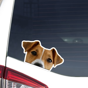 Peeking Red Jack Russell Terrier Car Decal Sticker / Realistic Dog Head / Vinyl Removable Waterproof Outdoor / Bumper Window Bottle Laptop