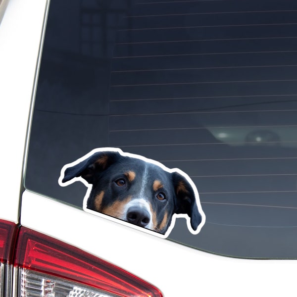 Appenzeller Sennenhund Car Decal Sticker / Peeking Realistic Black Tri Dog Head Face / Vinyl Waterptroof Removable Outdoor / Bumper Window