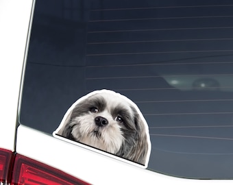 Razza Shih Tzu Del Cane Di Vettore Illustrazione Vettoriale - Illustrazione Di Nero, Mammifero - Foto 12