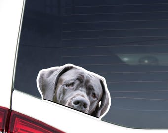 Dane Dog Decal – Weatherproof Vinyl Sticker for Cars