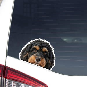 Puede incluir: Una pegatina para la ventana del coche con la cara de un perro. El perro tiene pelo negro y marrón y ojos marrones. La pegatina tiene un borde blanco y está pegada en la ventana trasera de un coche blanco.