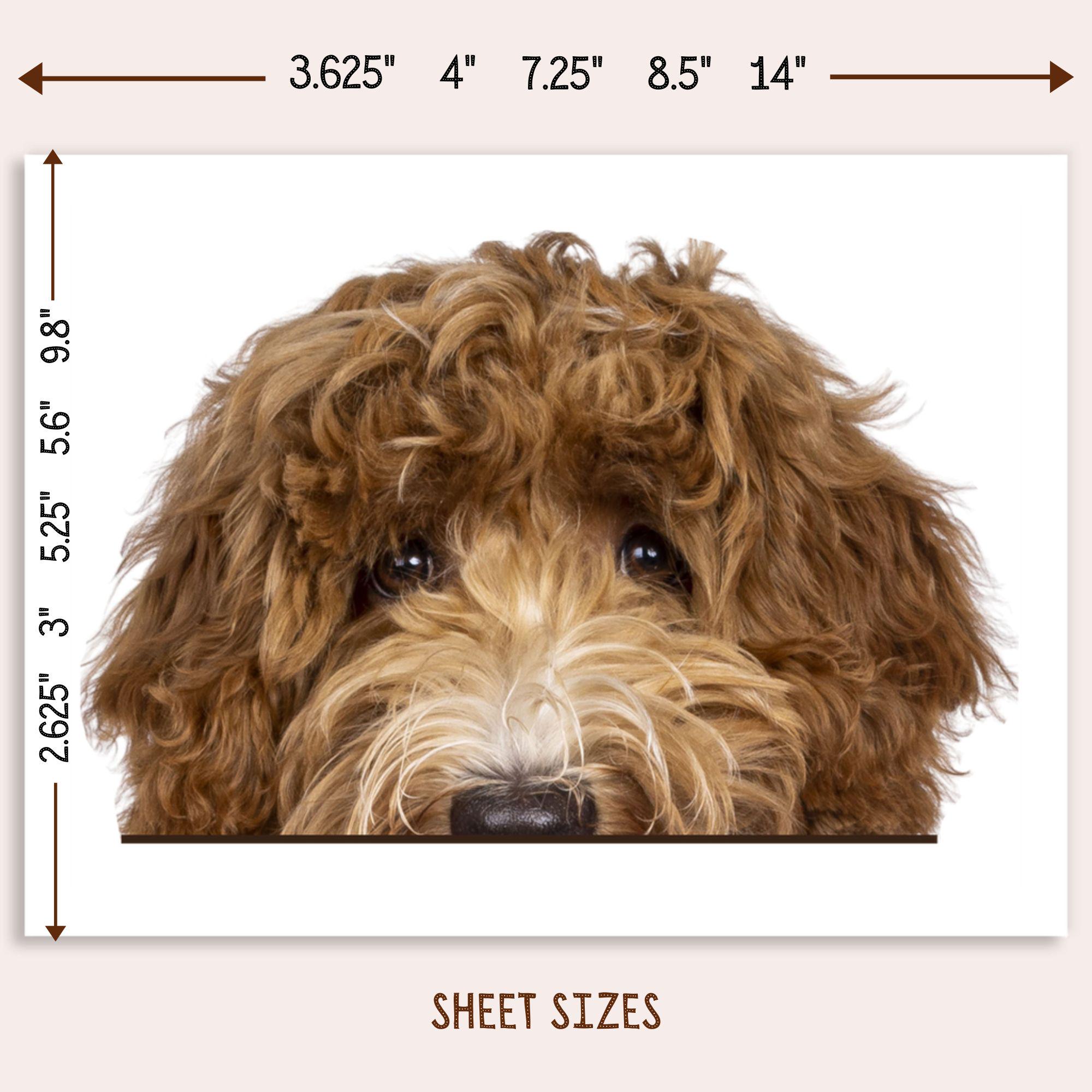 Labradoodle Car Decal Sticker / Peeking Realistic Brown Cobberdog Dog ...