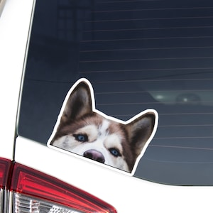 Brown Husky Car Sticker Decal / Peeking Siberian Husky Face Blue Eyes / Window Bumper / Looking Out Dog Vinyl Removable Waterproof Outdoor