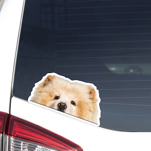 Cream Chow Chow Car Sticker Decal / Peeking Realistic Chow Chow Head Face / Vinyl Waterproof Removable Outdoor / Window Bumper Laptop