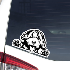 Schnoodle Car Decal Sticker / Peeking White Labradoodle Goldendoodle Dog Head / Bumper Window Laptop / Vinyl Waterproof Removable Outdoor