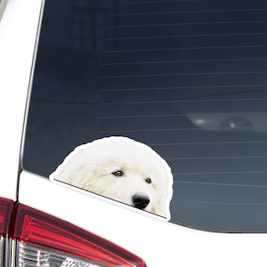 Great Pyrenees Car Decal Sticker / Peeking Realistic White Dog Peek-a-Boo Head Face / Vinyl Waterproof Removable Outdoor / Bumper Window