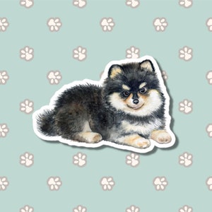 Pomeranian German Spitz Car Decal Sticker / Watercolor Black Pomeranian Puppy / Bumper Window Laptop / Vinyl Waterproof Removable Outdoor