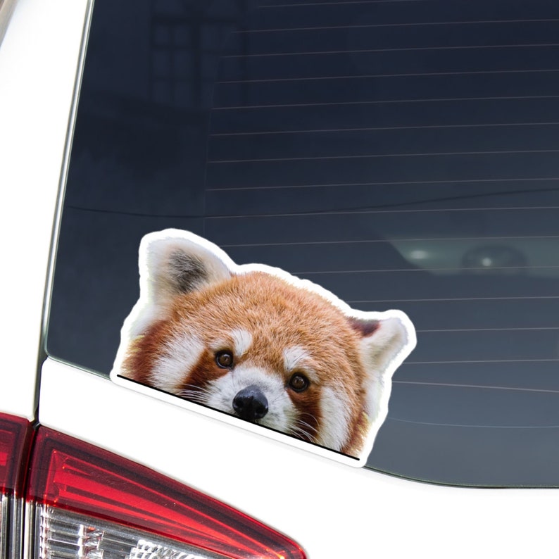 Peeking Red Panda Car Sticker / One Decal Kawaii Cute Etsy