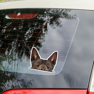 Kelpie On Board Dog Sticker Decal In White Popular - Ireland