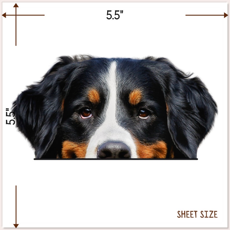 Bernese Mountain Dog Car Decal: Peeking Black Tri-color Bernie ...