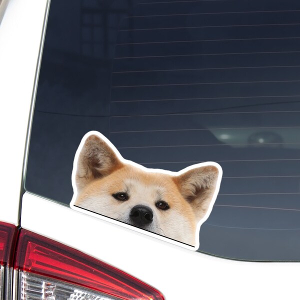 Japanese Red Akita Inu Car Sticker Decal / Realistic Peeking Dog Head / Vinyl Waterproof Removable Outdoor / Window Bumper Laptop Phone