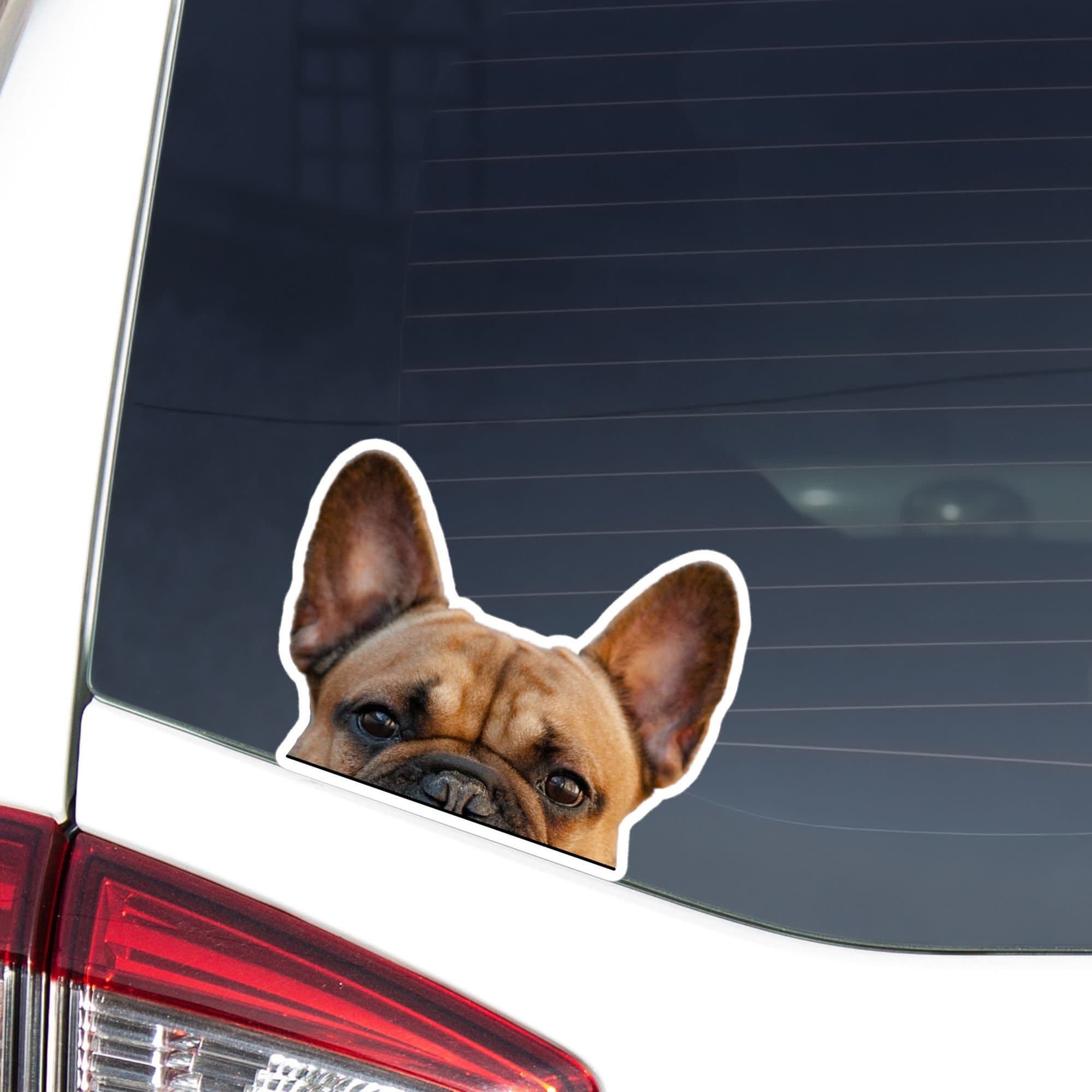 Fawn Red French Bulldog Car Decal Sticker Peeking Realistic Frenchie Dog Head car Bumper Window Laptop vinyl Waterproof Removable Outdoor Etsy