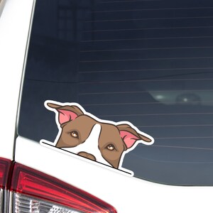 Brown Pitbull Car Decal Sticker / Peeking Pittie Dog Wih Orange Eyes Vinyl Bumper Window Laptop Bottle / Waterproof Removable Decal