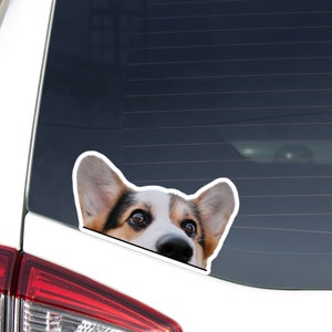 Tricolor Corgi Car Sticker Decal / Peeking Welsh Tri Corgi Head / Vinyl Waterproof Removable Outdoor / Window Bumper Laptop Bottle