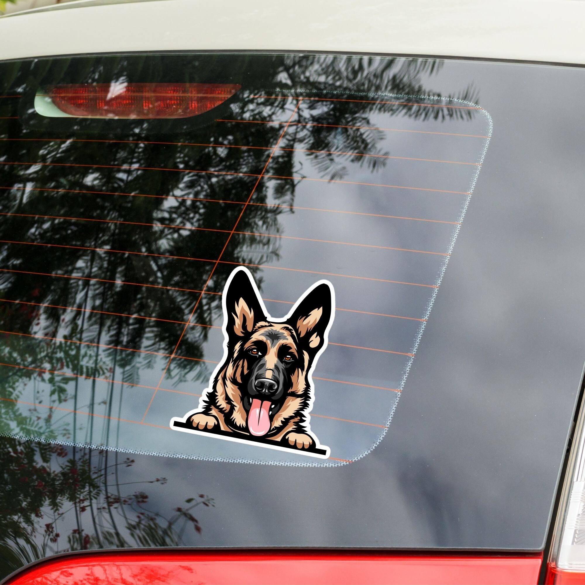 Chiuda Su Giovane Wolf Dog German Shepherd Dog Alsaziano Fotografia Stock - Immagine Di Padella