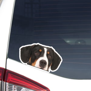 Entlebucher Mountain Car Decal Sticker / Peeking Entlebucher Sennenhund Head Face / Vinyl Waterproof Removable Outdoor / Bumper Window