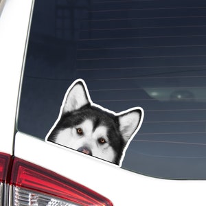 Alaskan Malamute Car Sticker Decal / Peeking Peek-A-Boo Black White Dog Head Face / Vinyl Watercolor Removable Outdoor/Bumper Window Laptop