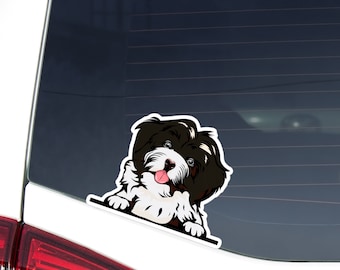 Black&White Havanese Car Decal Sticker / Realistic Dog Head Paws Up Vinyl Waterproof Removable Outdoor / Bumper Window Laptop Macbook