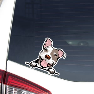 Pitbull With Brindle Patch Car Decal Sticker / Peeking Pittie Dog Vinyl Car Bumper Window  / Waterproof Removable Outdoor Decal