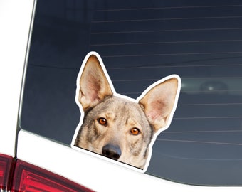 Moto, Accessori E Componenti Sticker Lupo Wolf Loup Lobo Decal Auto Moto Casco Wall Camper Bike Adesivo Adhesive Autocollant Pegatina Aufkleber
