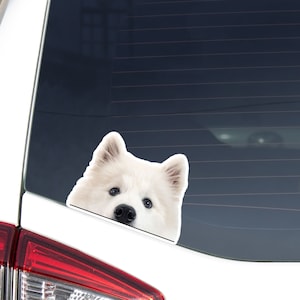 Realistic Samoyed Car Decal Sticker / Kawaii Peeking Samoyed Dog Head / Vinyl Waterproof Removable Outdoor / Bumper Window Laptop Phone