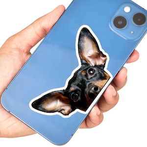 May include: A blue iPhone with a black and brown dog sticker peeking out from the top of the phone.