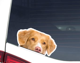 May include: A car window decal featuring a dog's face. The dog has light brown fur, a pink nose, and brown eyes. The decal is white with a black outline and is affixed to the rear window of a white car.