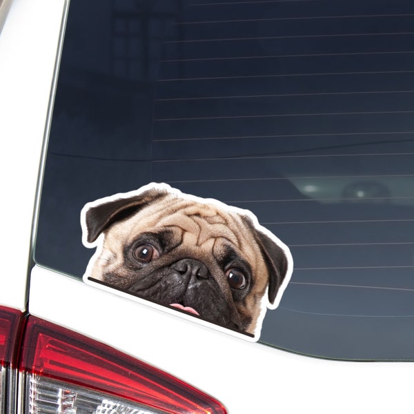 Peeking Pug Car Decal Sticker / Looking Out Pug Bumper Window Laptop Vinyl Waterproof Removable Outdoor / Realistic Dog Face