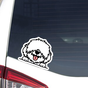 Coton De Tulear Car Decal Sticker / Peeking White Cotie Dog Head / Vinyl Waterproof Removable Outdoor / Bumper Window Laptop
