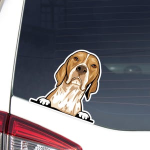 Op de afbeelding: Een sticker met een cartoon illustratie van een Beagle hond die over een oppervlak kijkt. De hond heeft bruine en witte vacht, met een geconcentreerde uitdrukking. De sticker is ontworpen om op een autoruit of een vergelijkbaar oppervlak te worden geplakt.