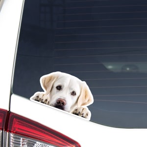Yellow White Labrador Car Decal Sticker / Peeking Looking Dog Head Paws Up / Vinyl Waterproof Removable Outdoor / Bumper Window Laptop Phone