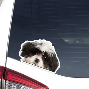 Black&White Havanese Car Decal Sticker / Peeking Photo Dog Head / Vinyl Waterproof Removable Outdoor / Bumper Window Laptop Macbook Phone