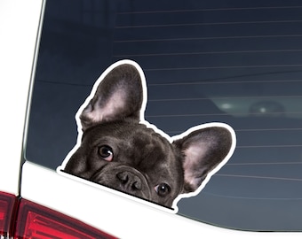 French Bulldog Car Decal: Peeking Black Frenchie, Waterproof Vinyl Sticker