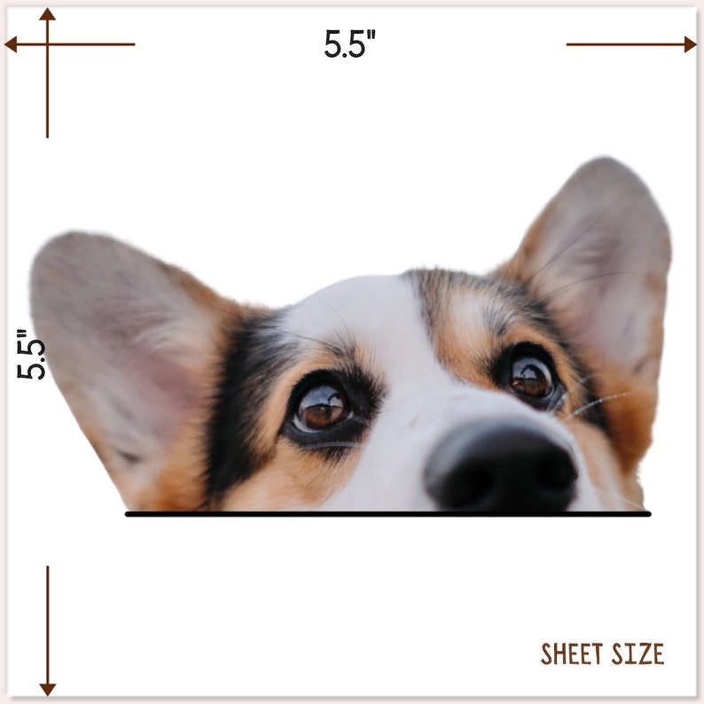 Tricolor Corgi Car Sticker Decal / Peeking Welsh Tri Corgi Head / Vinyl Waterproof Removable Outdoor / Window Bumper Laptop Bottle 5.5x5.5 inch