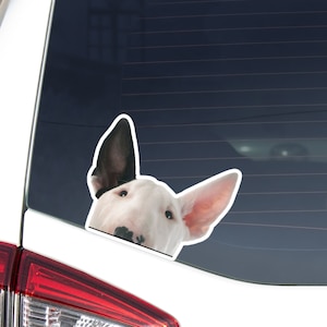 Peeking Bull Terrier Car Decal Sticker / White Black Ear Bullterrier Puppy Dog / Vinyl Waterproof Removable Outdoor / Bumber Window