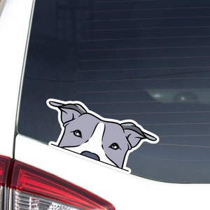 Gray Pitbull Car Decal Sticker / Peeking Gray Pittie Dog Vinyl Bumper Window Laptop Bottle / Waterproof Decal