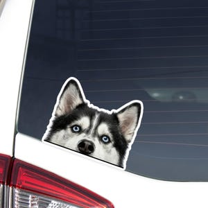May include: A sticker featuring a close-up of a Siberian Husky dog's face. The dog has striking blue eyes, black and white fur, and a black nose. The sticker is likely designed to be placed on a car window.