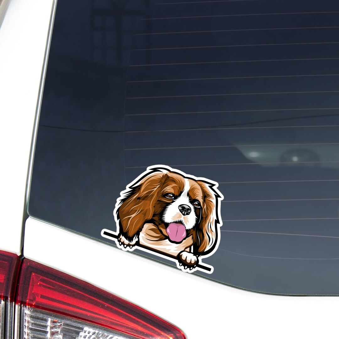 Cavalier King Charles Spaniel Car Decal - Peeking Dog Vinyl Sticker - Etsy