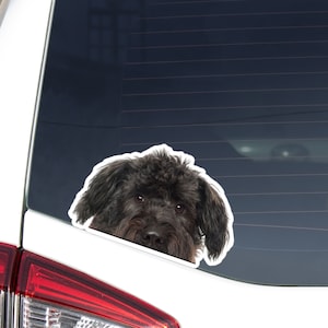 Bouvier des Flandres Car Decal Sticker / Peeking Realistic Black Dog Head Face / Vinyl Waterptroof Removable Outdoor / Bumper Window Laptop